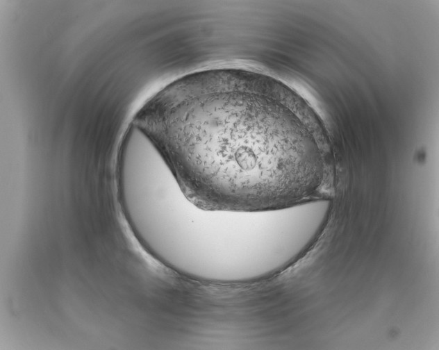 X0000090441046200707272150