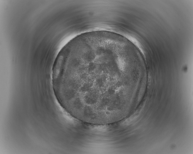 X0000090441047200707272150