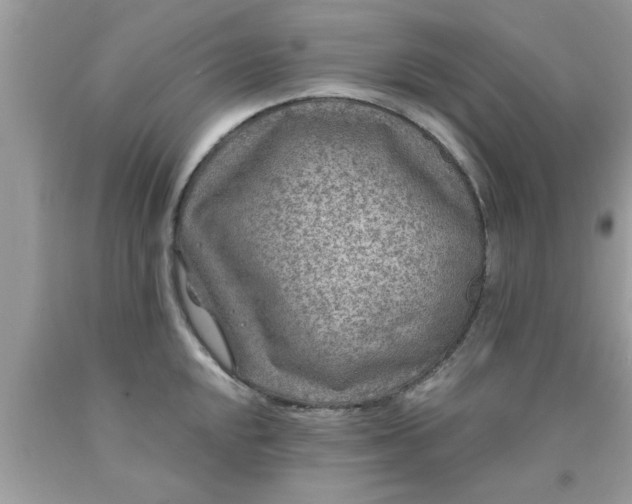 X0000090441048200707272150