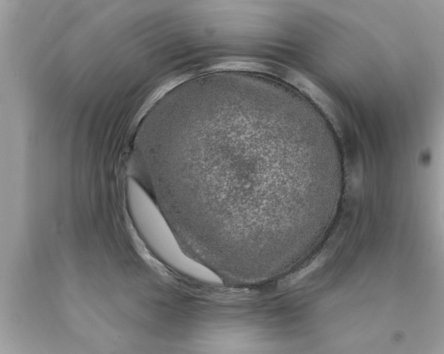 X0000090441049200707272150