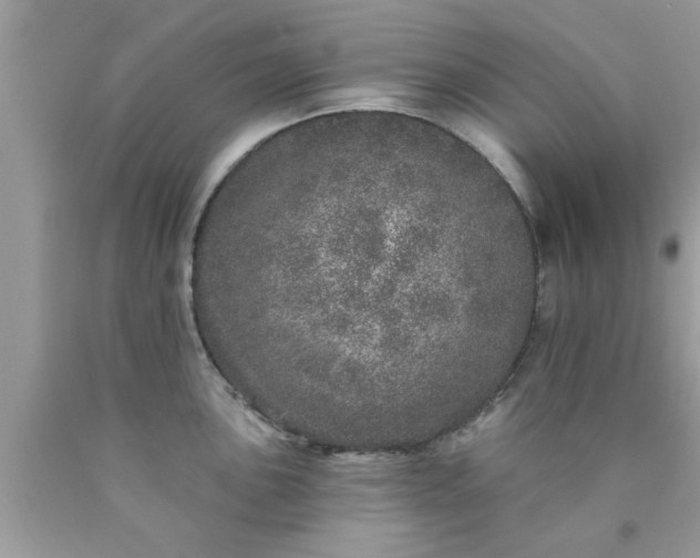 X0000090441051200707272150