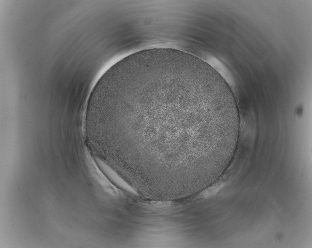 X0000090441052200707272150