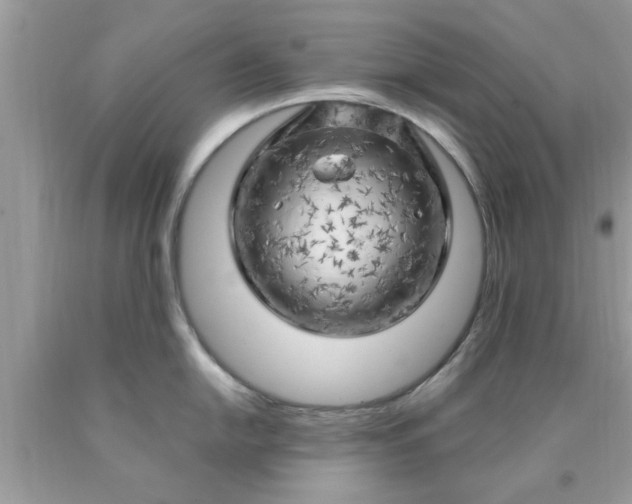 X0000090441054200707272150