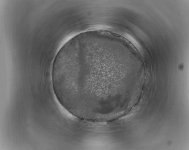 X0000090441055200707272150