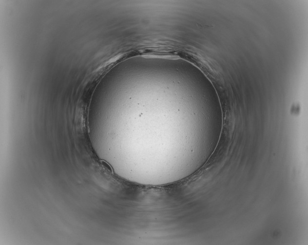 X0000090441058200707272149