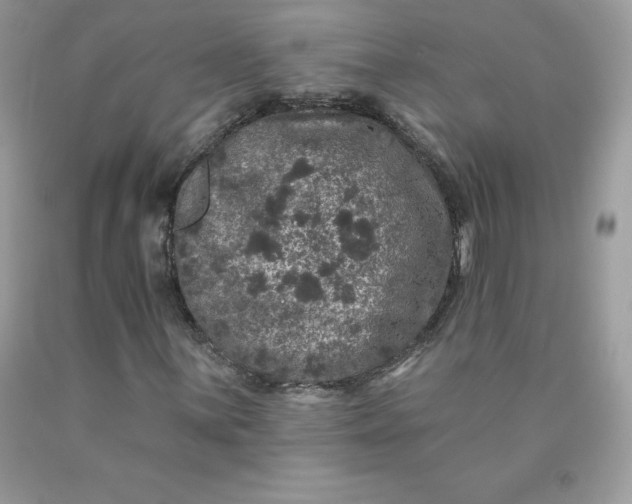 X0000090441059200707272149