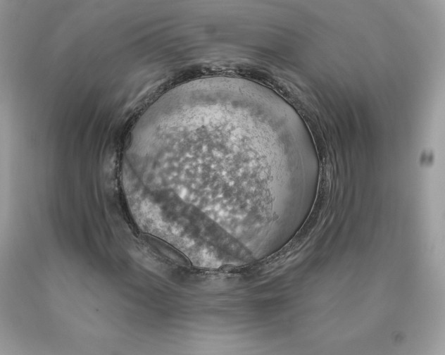 X0000090441060200707272149