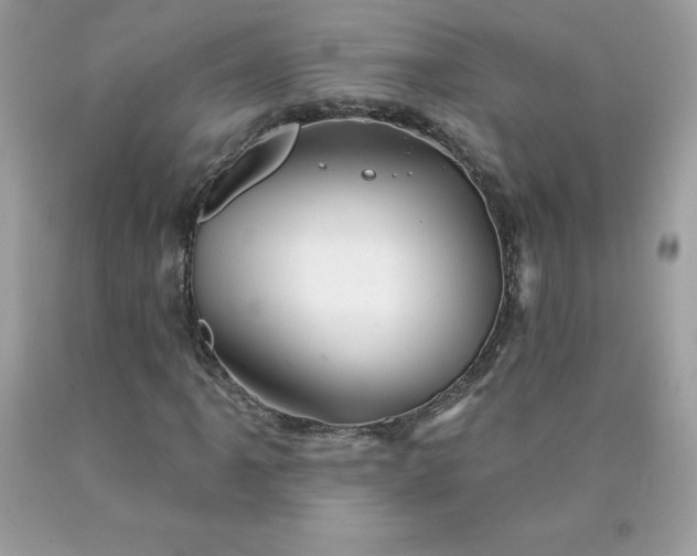 X0000090441061200707272149