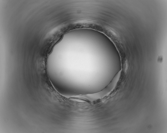 X0000090441062200707272149