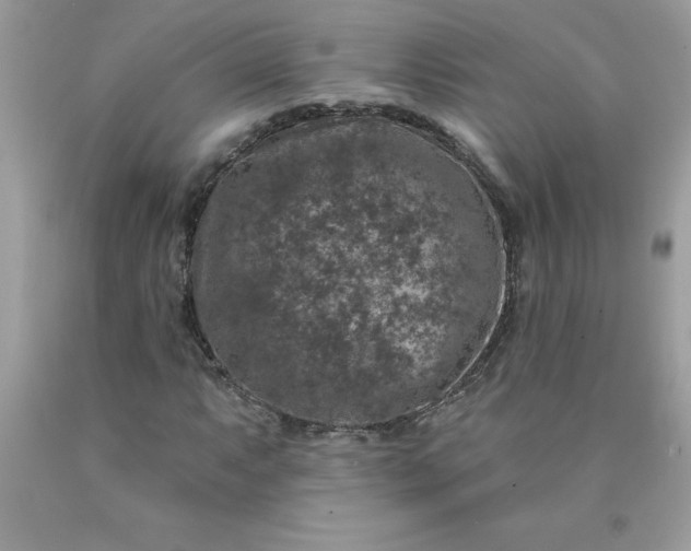 X0000090441063200707272149