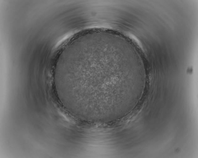 X0000090441064200707272149