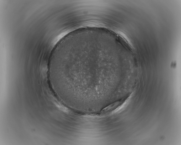 X0000090441065200707272149