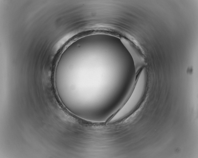 X0000090441066200707272149