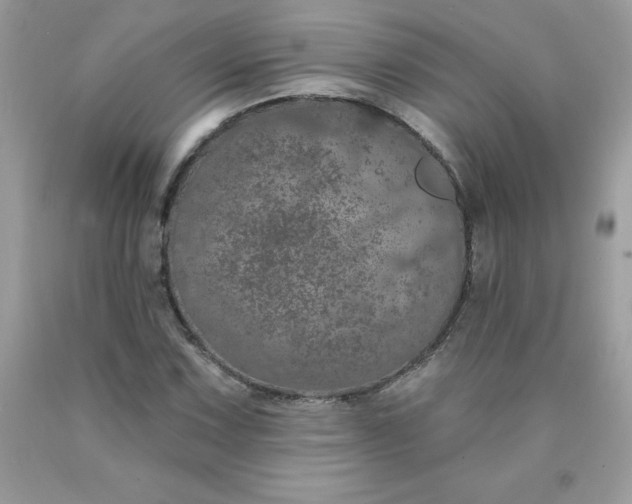 X0000090441067200707272149