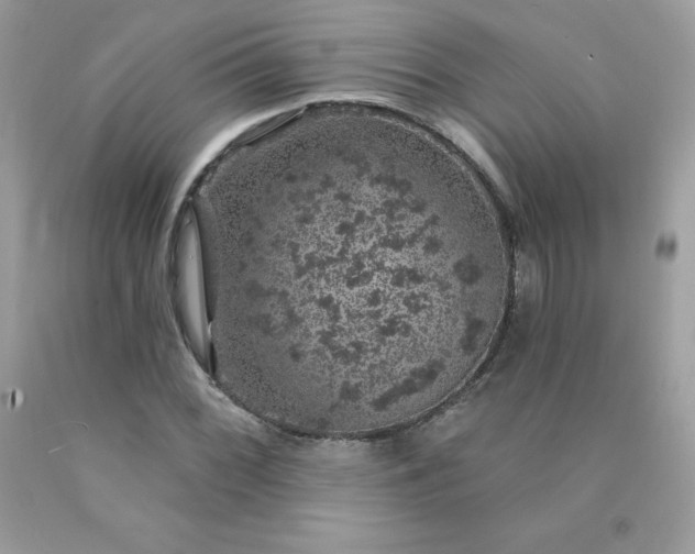 X0000090441068200707272149