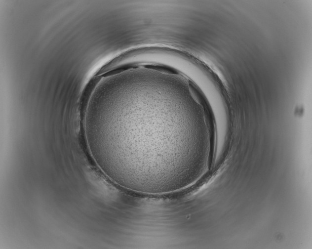 X0000090441069200707272149