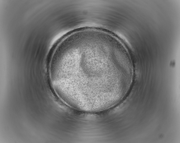 X0000090441070200707272149