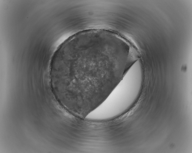 X0000090441071200707272149