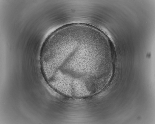 X0000090441072200707272149