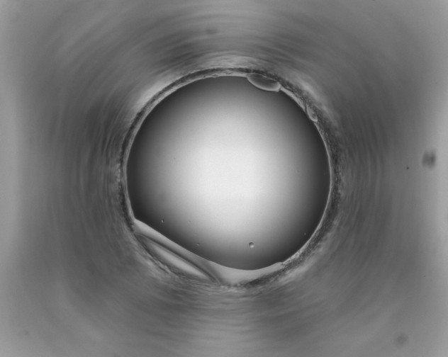 X0000090441073200707272149