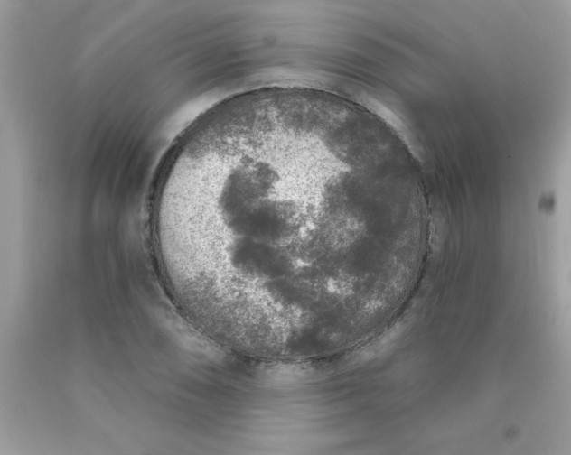 X0000090441074200707272149