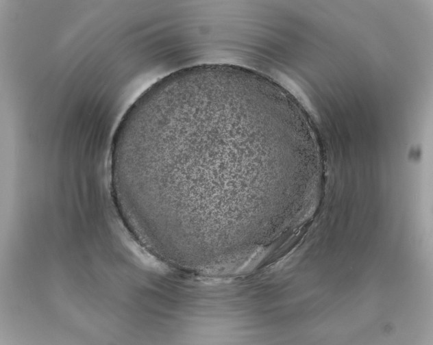 X0000090441076200707272149