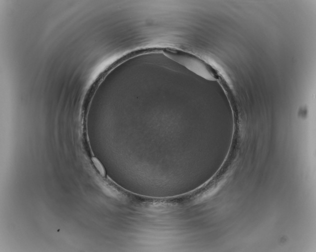 X0000090441077200707272149