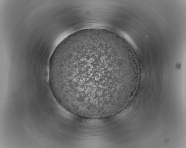 X0000090441079200707272149