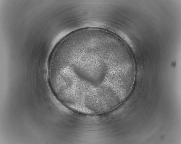 X0000090441080200707272149