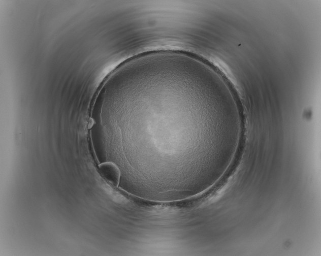 X0000090441081200707272149