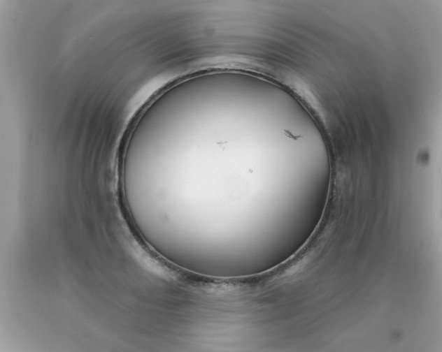 X0000090441082200707272149