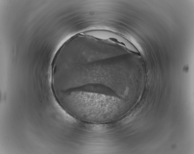 X0000090441084200707272149