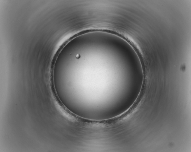 X0000090441085200707272149