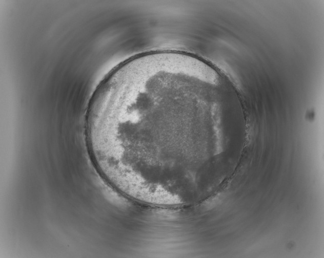 X0000090441086200707272149