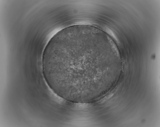 X0000090441087200707272149