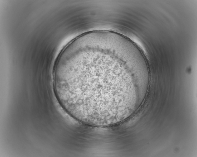 X0000090441088200707272149