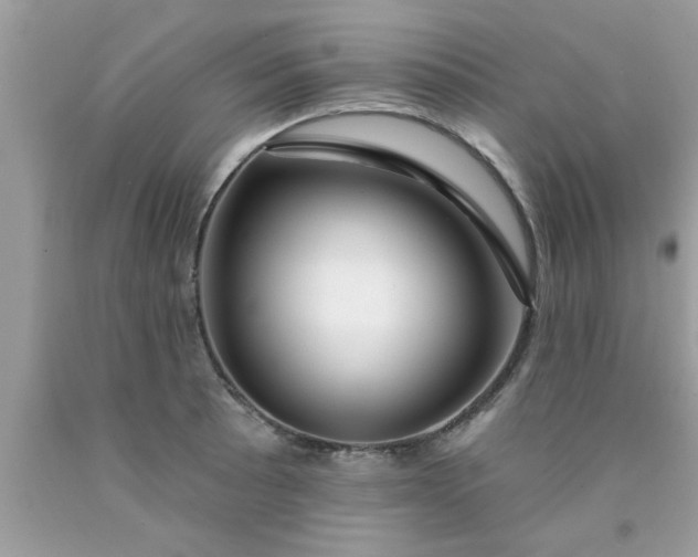 X0000090441089200707272149