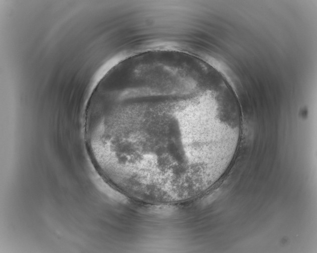 X0000090441090200707272149