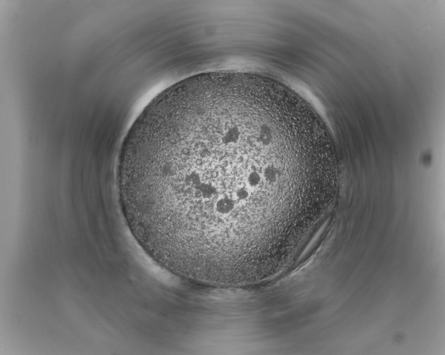 X0000090441091200707272149