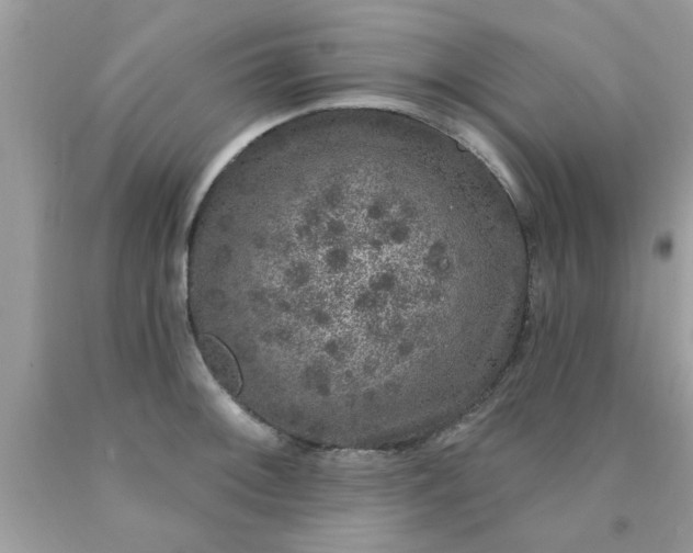 X0000090441092200707272149