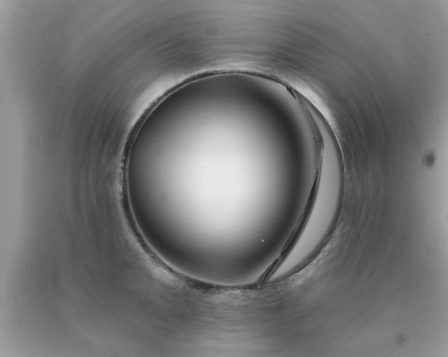 X0000090441093200707272149