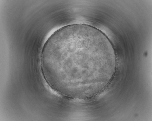 X0000090441094200707272149