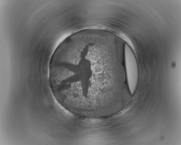 X0000090441095200707272149