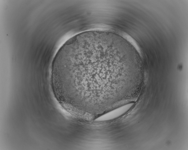 X0000090441099200707272149