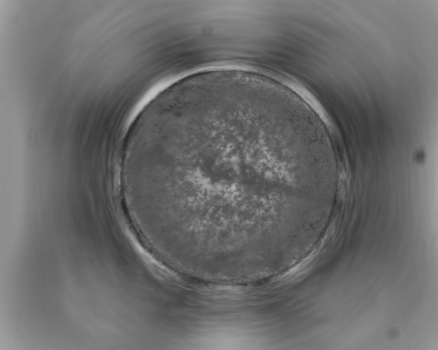 X0000090441101200707272149