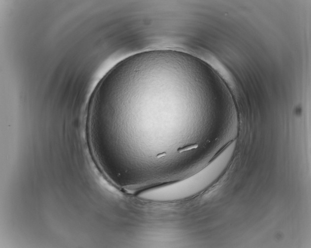 X0000090441102200707272149