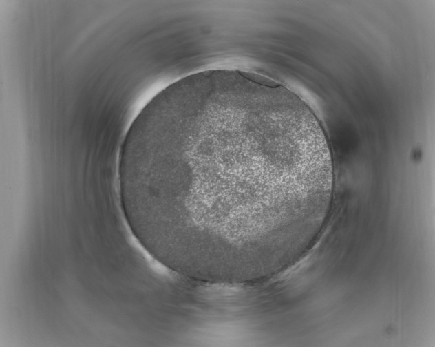 X0000090441103200707272149