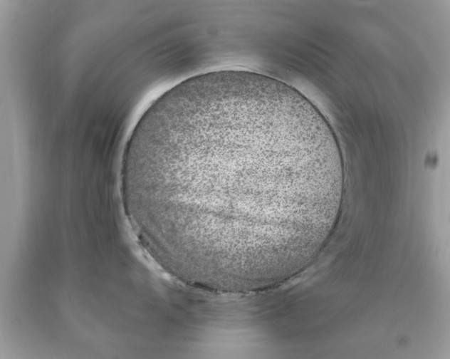 X0000090441104200707272149