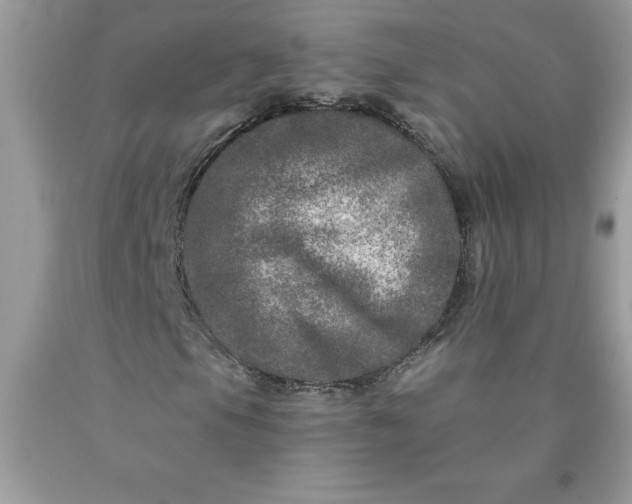 X0000090441105200707272148