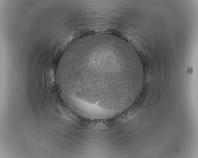 X0000090441106200707272148